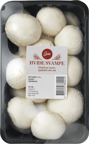 Svampe Hvide Gestus