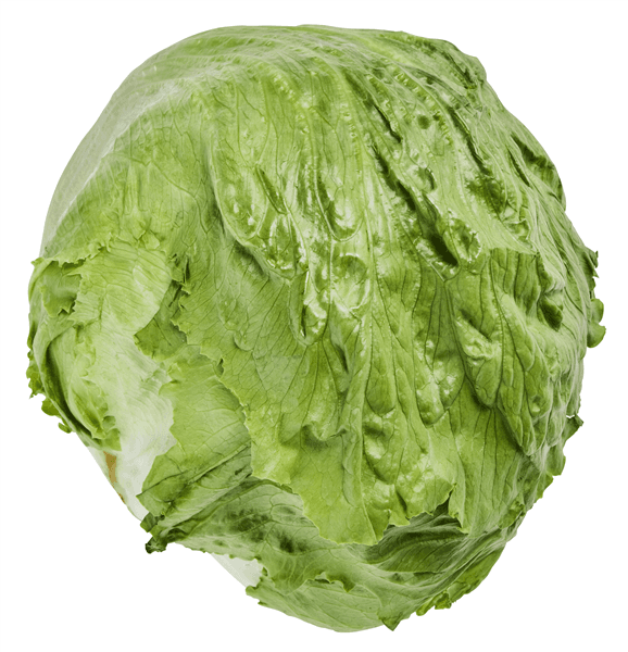 Øko Icebergsalat