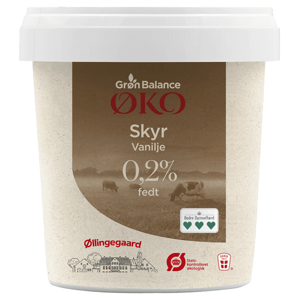 Gb/øg Skyr Vanilje Øko
