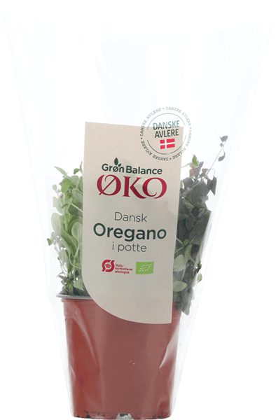 Øko-oregano (gb)