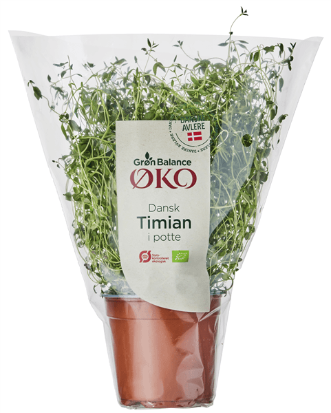 Øko-timian (gb)