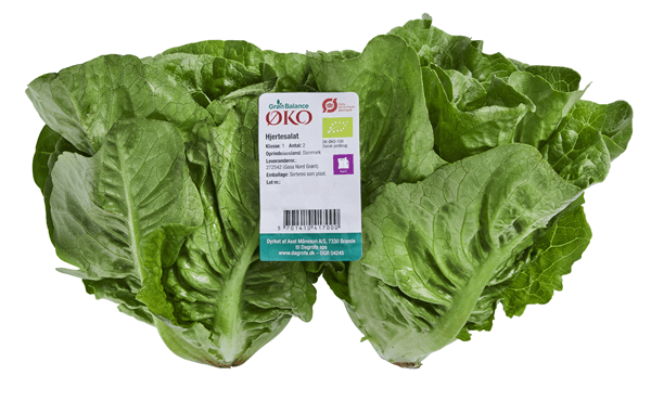 Øko-salat Hjerte