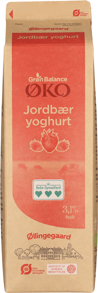 Gb/øg Yogh Jordbær Øko