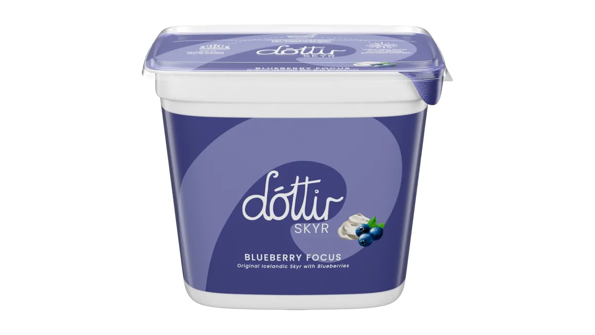 Skyr m. blåbær 0,2% 400 g, Dóttir