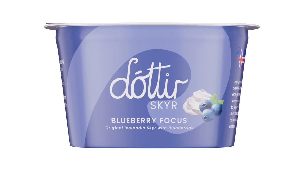 Skyr m. blåbær 0,2% 160 g, Dóttir