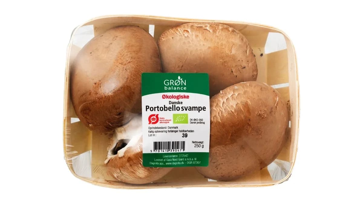 Øko-svampe Portobello Brun