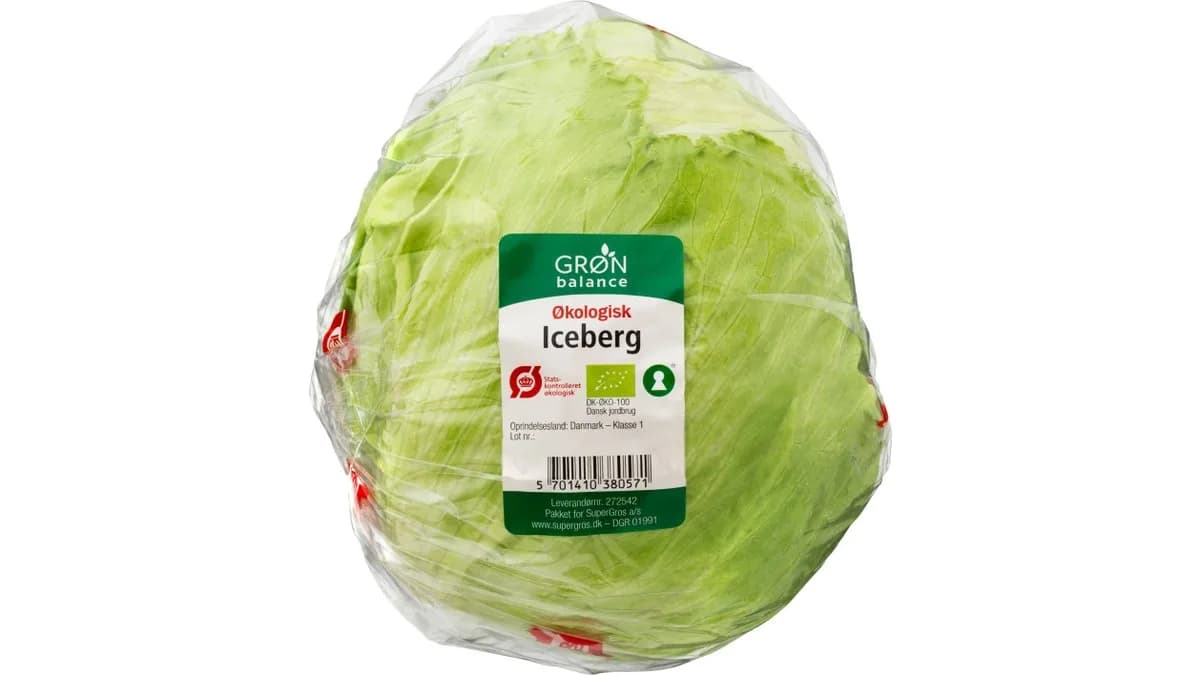 Icebergsalat øko.