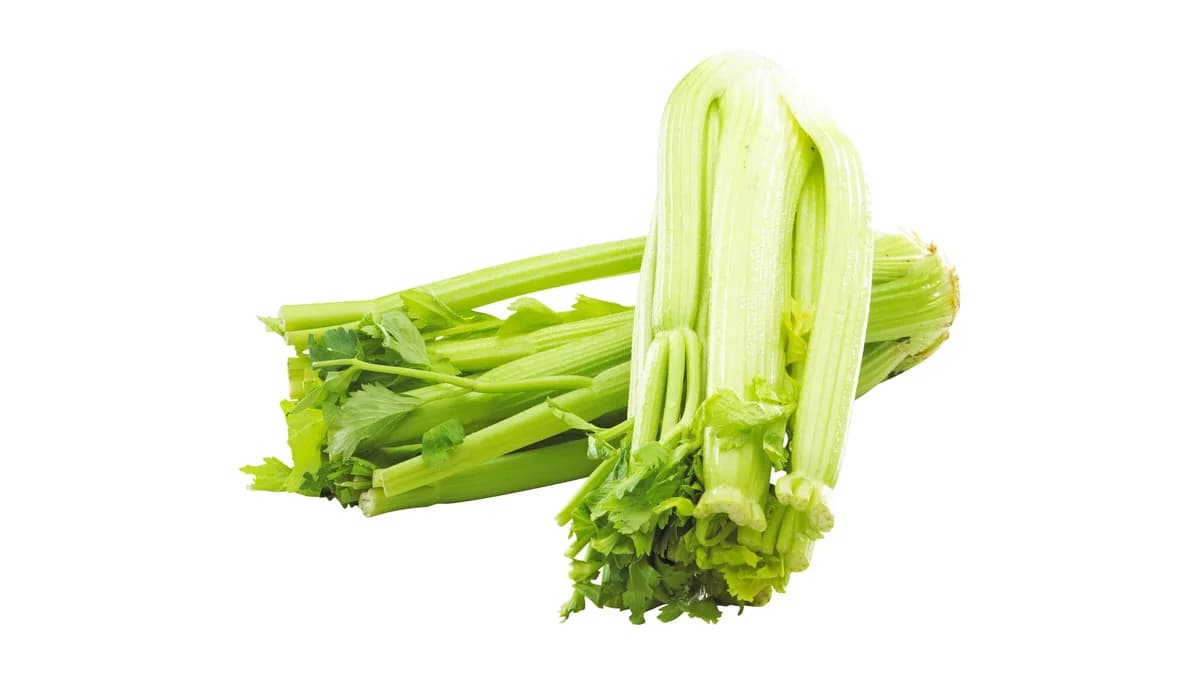 Bladselleri øko.