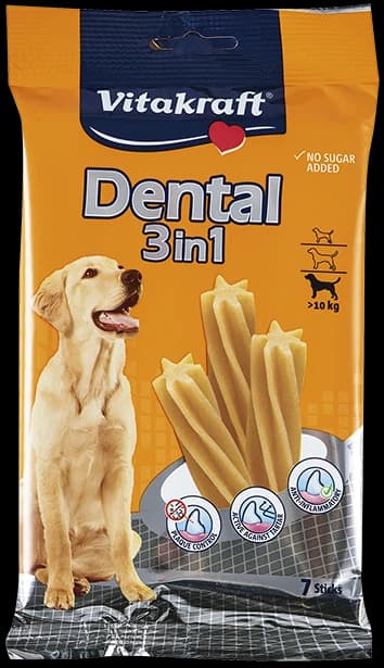 DENTAL 3IN1
