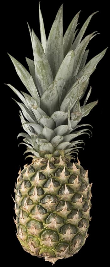 ANANAS