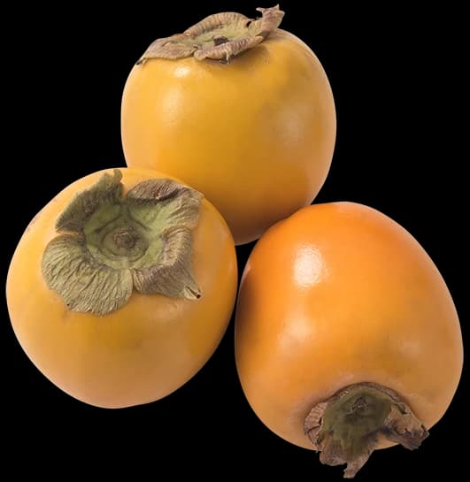 KAKI FRUGT