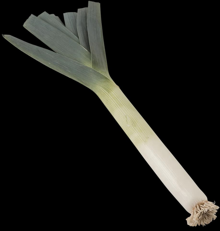 ØKO. PORRER