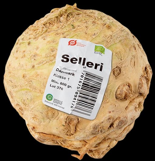 ØKO. SELLERI