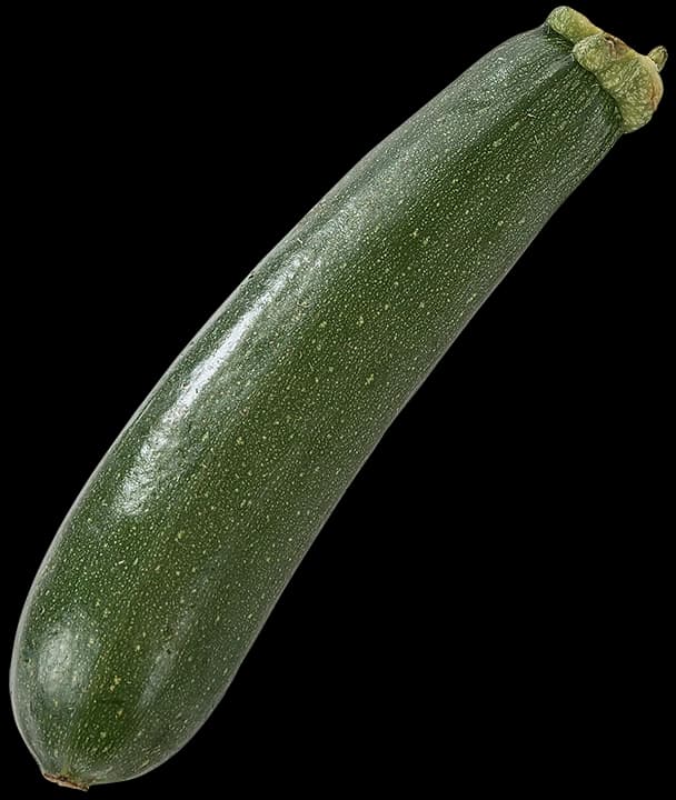 SQUASH
