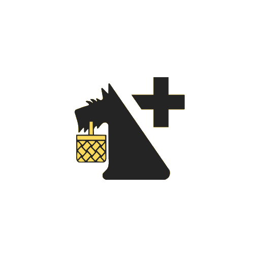 Netto